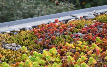 the cost of Hook Street green roof installation